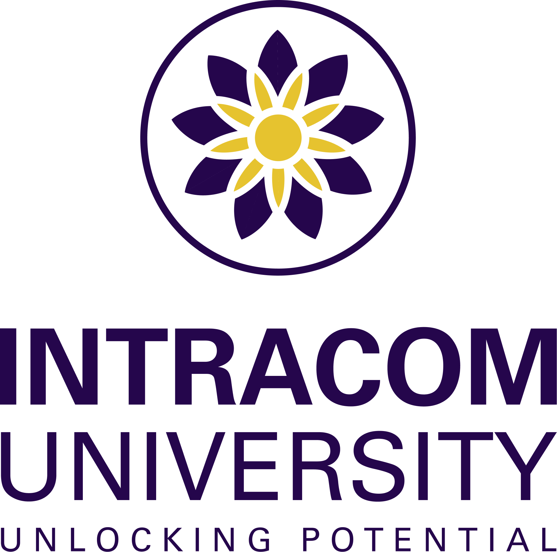 Trường Đại học Intracom